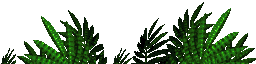 Forest Foreground.png