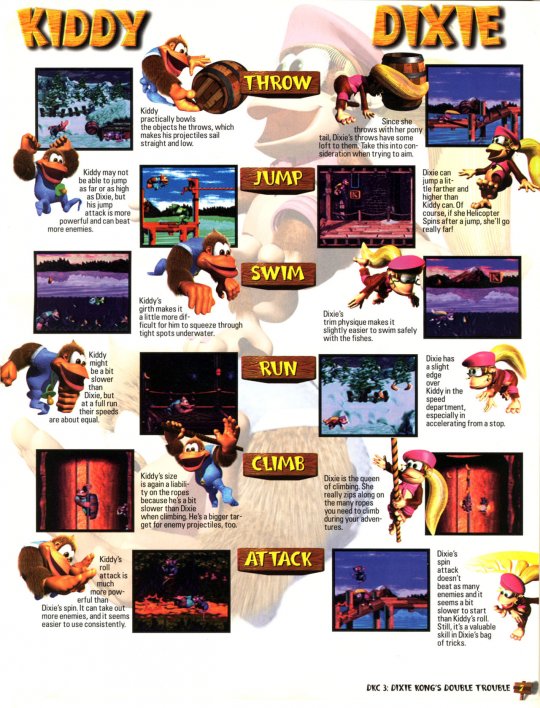 DKC 3 - 008
