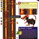 DKC 3 - 062